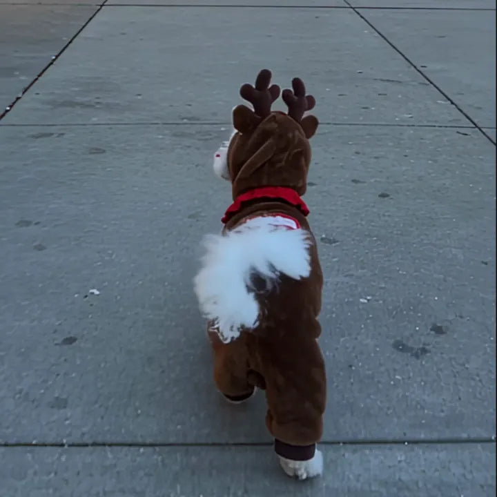 ugc_4.webp