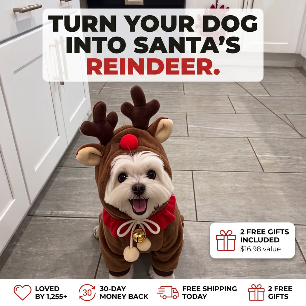 Turn your dog into Santa's reindeer - Reindeer Paws
