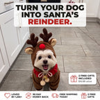 Turn your dog into Santa's reindeer - Reindeer Paws