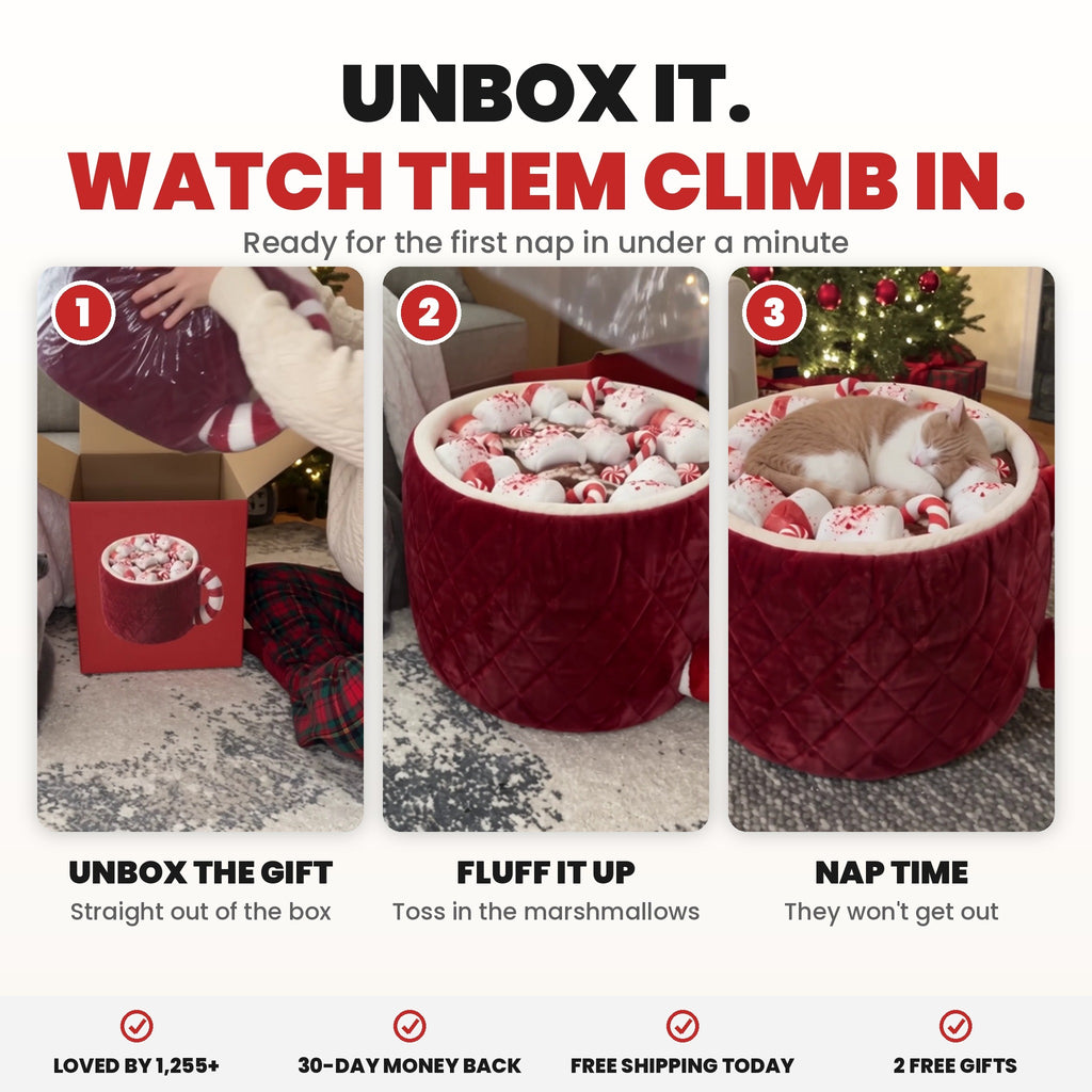 Unbox it, watch them climb in