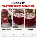 Unbox it, watch them climb in