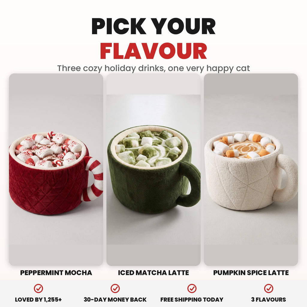 Pick your flavour - 3 cozy holiday drinks