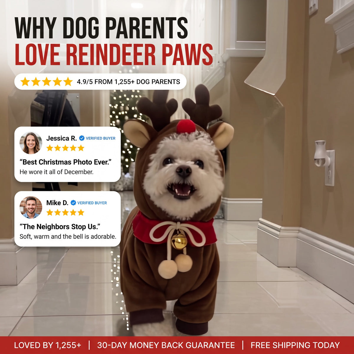 Why dog parents love Reindeer Paws - 4.9/5