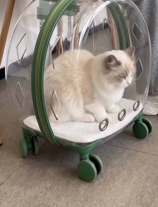 PawPod™ Bubble Pet Carrier