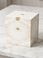 Holy Light Faith Projector box